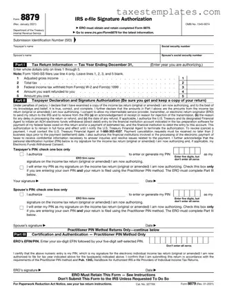 Free IRS 8879 Template in PDF