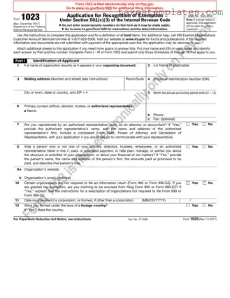 Free IRS 1023 Template in PDF